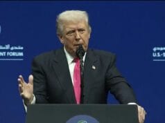 Trump Slams Homeland Security as ‘Stupid’ Over Hyundai Raid in Georgia, Says Americans Need Foreign Training