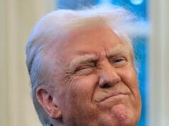 Trump, Convicted Felon, Frees $1.6B Ponzi Scammer After Just 12 Days