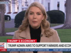 Karoline Leavitt Scolds GOP for Not Cheering Trump Loudly Enough